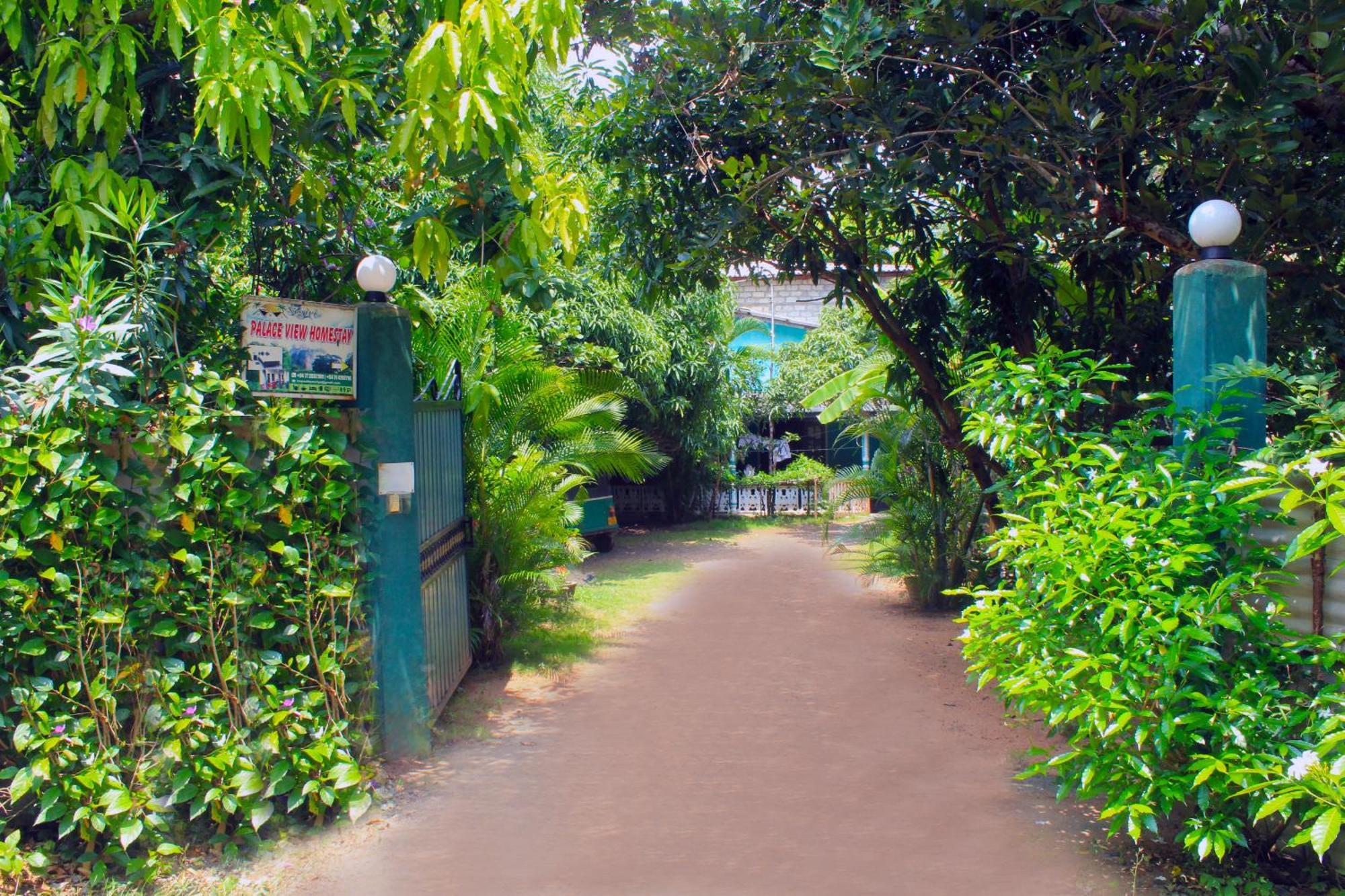 Sigiriya Palace View Extérieur photo
